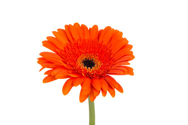 Similar image 13327926