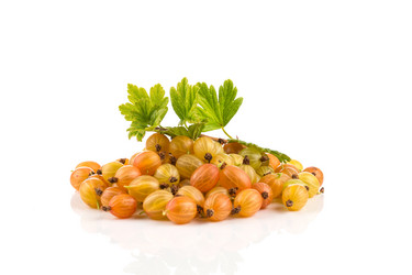 Similar image 13327955