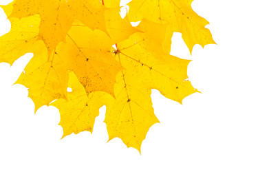 Similar image 13327956