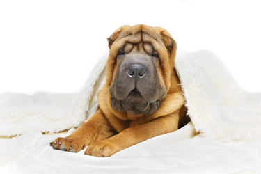 Similar image 14867347