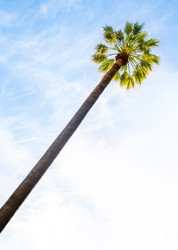 Similar image 14240930