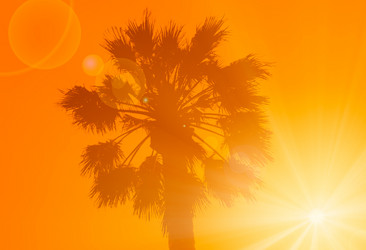 Similar image 14242313