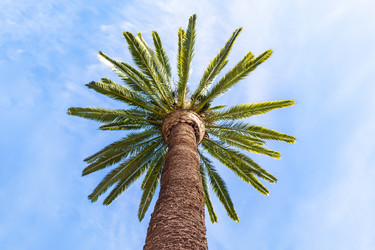 Similar image 14242357