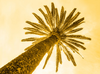 Similar image 14242722