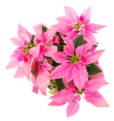 Similar image 14986097