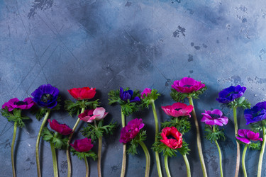 Similar image 14873173