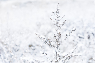 Similar image 14873335