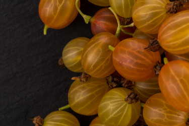 Similar image 13327899