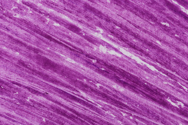 Similar image 13327960