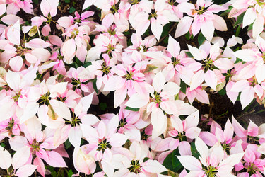 Similar image 14986918