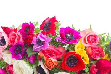 Similar image 14986935