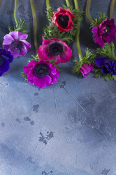 Similar image 14873156