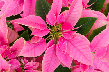 Similar image 14873282