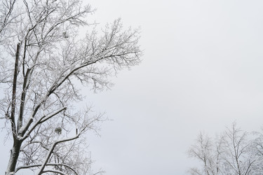 Similar image 14873341