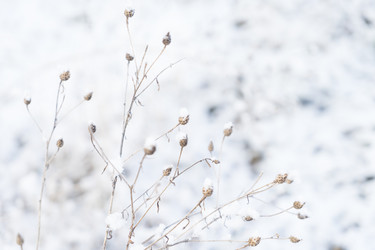 Similar image 14873367