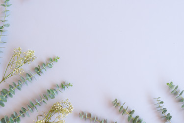 Similar image 14873368