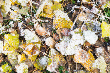 Similar image 14873802