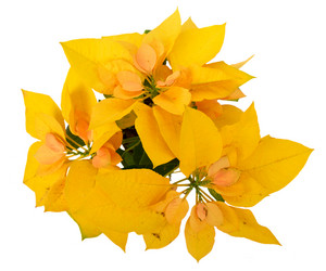 Similar image 14873855