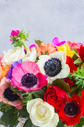 Similar image 14873907