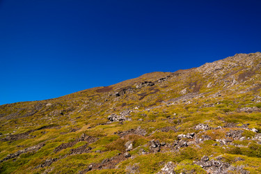 Similar image 14505898