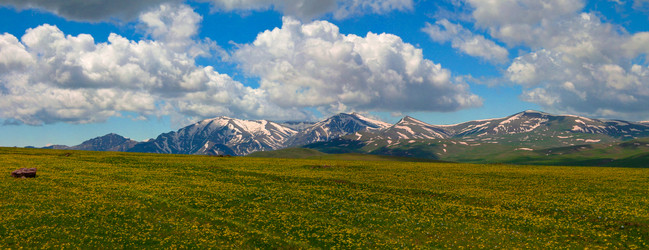 Similar image 14505908