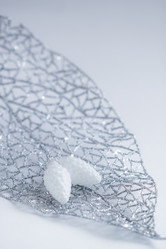 Similar image 13325525