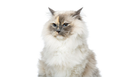 Similar image 14867523