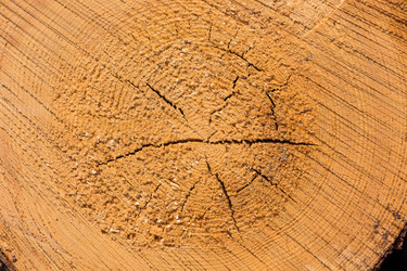 Similar image 13328158