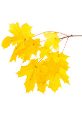 Similar image 13328161