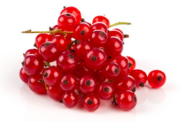 Similar image 13328167