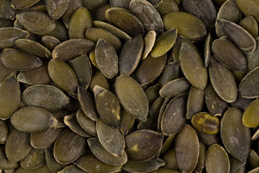 Similar image 13328072