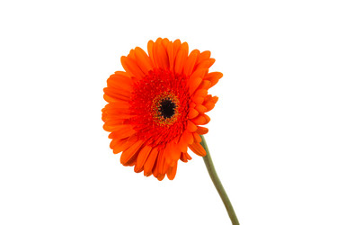 Similar image 13328083