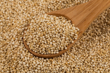 Similar image 13328087