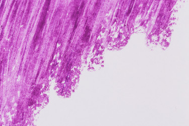 Similar image 13328093