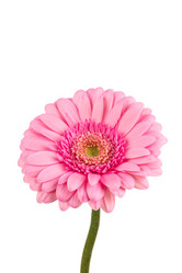 Similar image 13328095