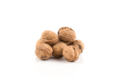 Similar image 13328100