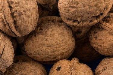 Similar image 13328103