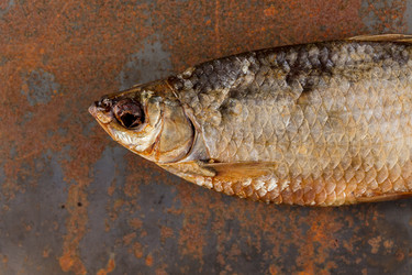 Similar image 13328117