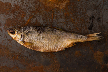 Similar image 13328122