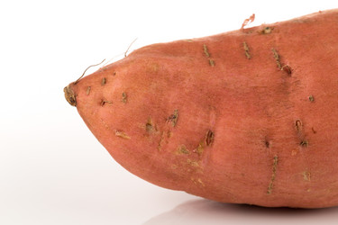 Similar image 13328135