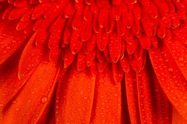 Similar image 13328144