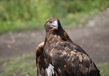 Similar image 14241187