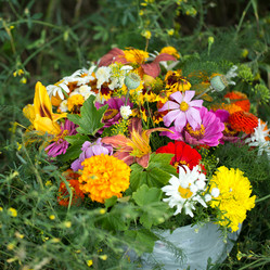 Similar image 14241037