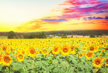 Similar image 14874086