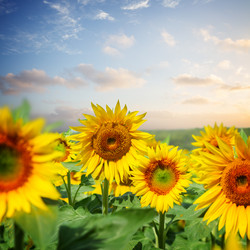 Similar image 14874107