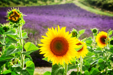 Similar image 14874108