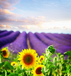 Similar image 14986105