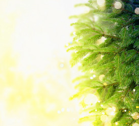 Similar image 14873727