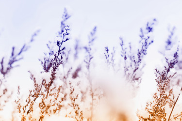 Similar image 14873862