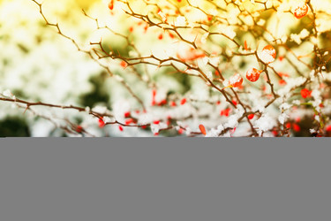 Similar image 14873931